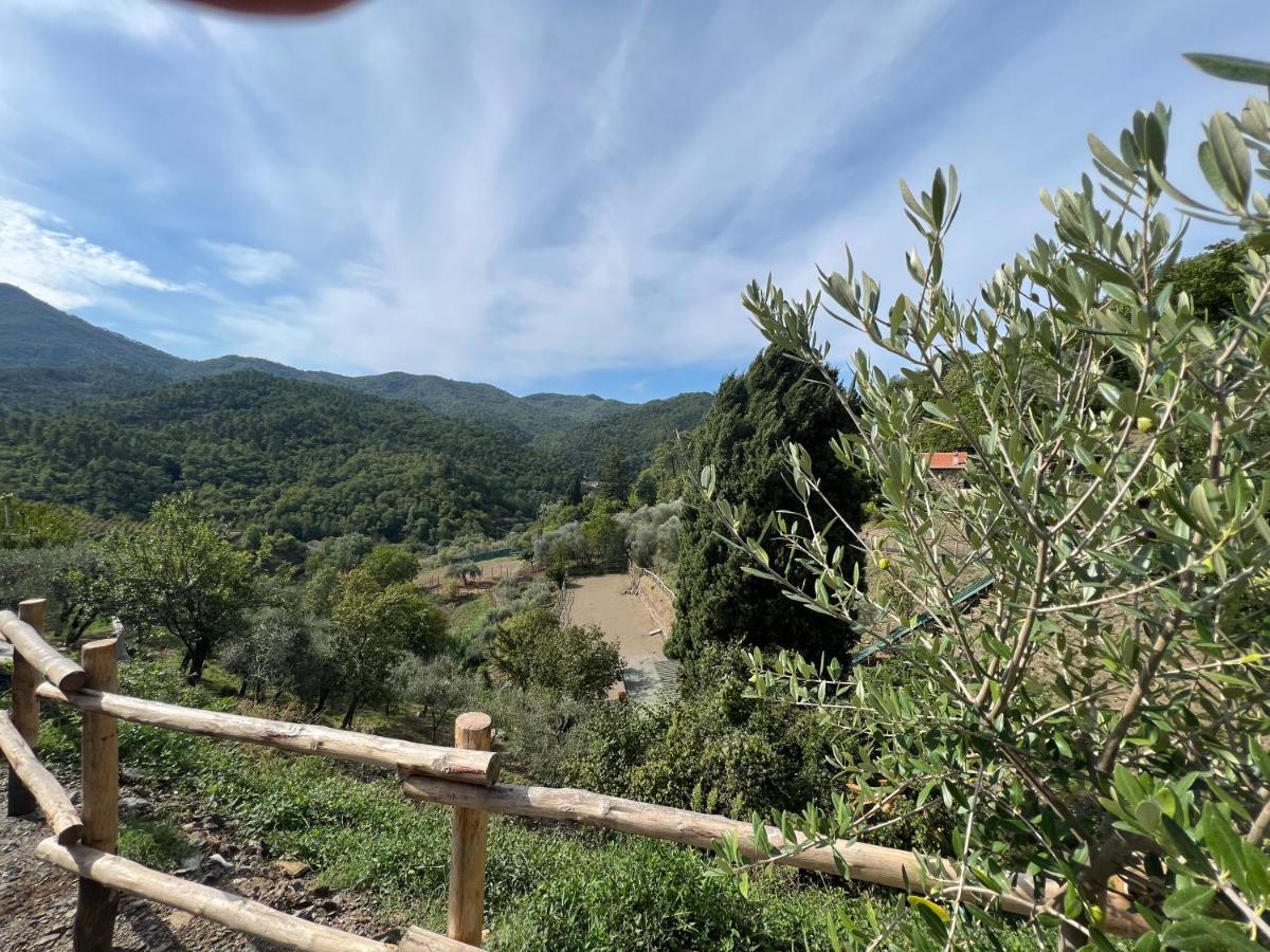 Agriturismo Torsivi Castiglione Chiavarese Buitenkant foto